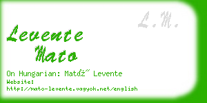 levente mato business card